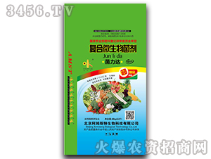 ��(f��)��΢�������-�����_-��ķ˹��