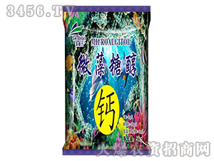 ΢���Ǵ��}-ʥ���m