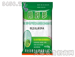 �������I(y��ng)�B(y��ng)Һ-���ö�-ʥ���m