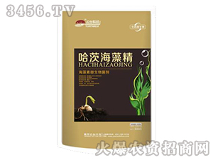 ���ĺ��徫-���_(t��i)��