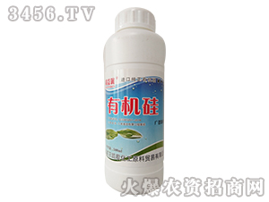 �M�ڼ����ЙC��-���杙-�P��