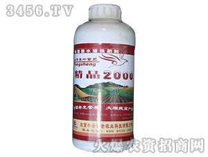 ��Ʒ2000�~���-�|ʥ����