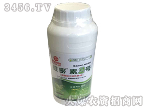 ������2̖-�|ʥ����