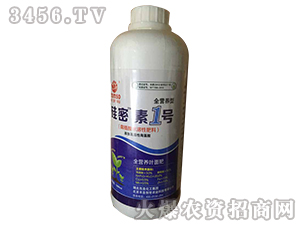 ������1̖-�|ʥ����