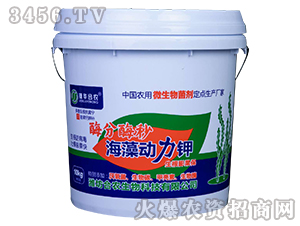 ø��ø�뺣���(d��ng)���-���r(n��ng)����