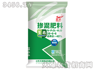 �������28-6-6-����-����