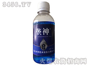 Һ�w��-����