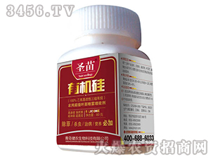 �ЙC��-ʥ��-���r(n��ng)����