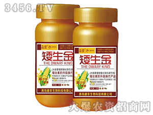 ���ﰫ���ЙC�{(di��o)��(ji��)��-������-���r(n��ng)����