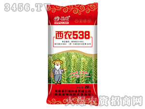 ���r(n��ng)538-����-܎��N�I(y��)