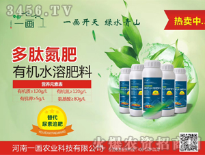 ���ĵ���-һ��