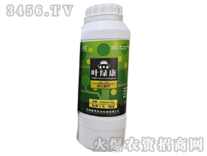 �~�G�������S�ɼ�һ���G��-�ػ�-�Y�����