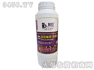 �ٻ���ѿ-������-�ػ�-�Y�����