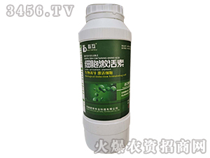 ��(x��)��������-�ػ�-�Y�����