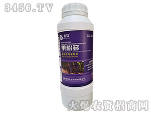 ���۶ࣨ�����{(l��n)ݮ���۶ࣩ-�ػ�-�Y�����