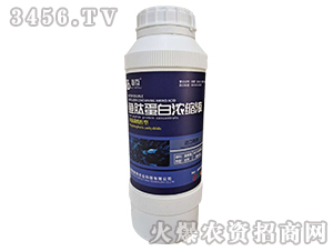 魚肽蛋白濃縮液-必互-馳銘生物