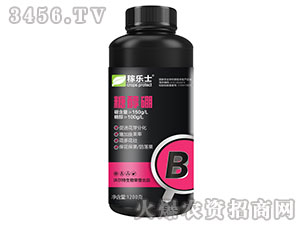 �Ǵ���-�ژ�ʿ-�֠���