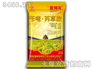 ������ˎ��-��¡����