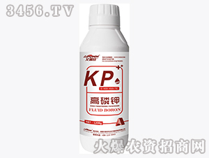 ����⛣�1200g��-������