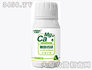 ��һԪ��-�Ǵ��}�V��260g��-������