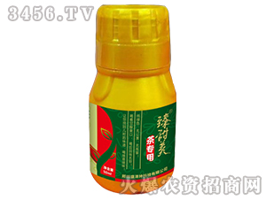 ���������茣�ã�-ʢ����