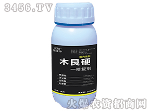 ľ��Ӳ���ޏ̈́�-ʢ����