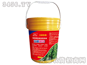 ���徫�~���נI(y��ng)�B(y��ng)Һ���󽪌��ã�-��������-ʢ���� 