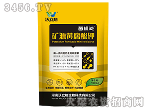 �VԴ�S�����-���C(j��)̎-������