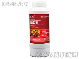 ������-�ػ�-�W���r(n��ng)�I(y��)