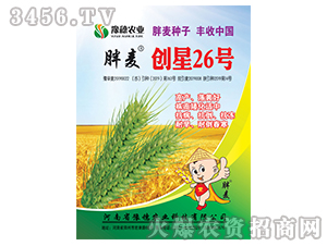 ��(chu��ng)��26̖-С���N��-ԥ���r�I(y��) 