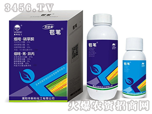 ���ס�����ͪ+���ס�ݬ��-��Ȕ-�¿ƻ���