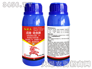 3%�������x���Ҹ��N��-�t�T��-�����r(n��ng)��