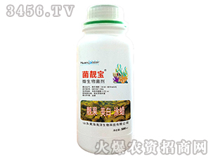 ΢�������-���n��-�S������