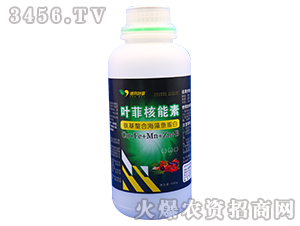 �������Ϻ����~(y��)����-�~�ƺ�����-�°��~�� 