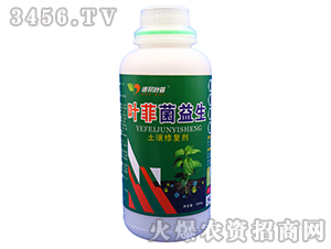 �����ޏ̈́�-�~�ƾ�����-�°��~��