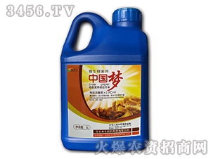 ΢�������-��������