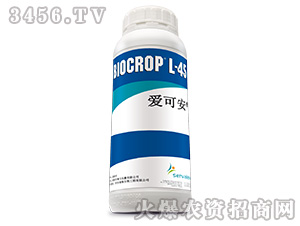 �ۿɰ�-Ҽ������