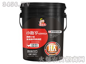 ø��С�İ������}�VҺ��-С�Ěq-��T�� 