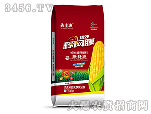 �LЧ��ጷ���28-13-10���t��-��ЧጾW(w��ng)Ĥ-���S�_(d��)