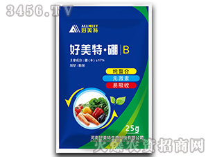 ������-������