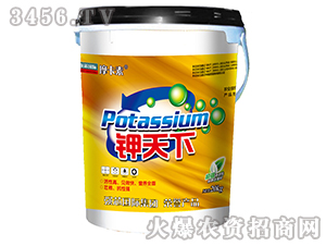 ����������-�����-Ħ����