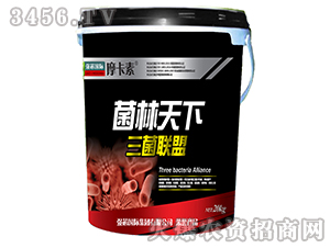 ��������-Ħ����-��о