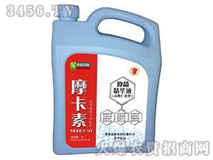 5L�V�V���־����AҺ-Ħ����-��(qi��ng)о