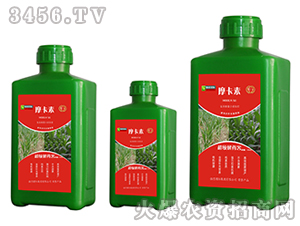 ������ˎ������������Һ�ķ�-Ħ����-��(qi��ng)о