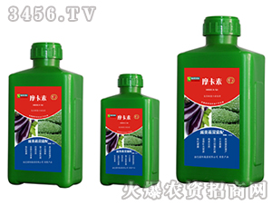 ����߲ˌ��ð���������Һ�ķ�-Ħ����-��(qi��ng)о