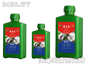 �޻����ð���������Һ�ķ�-Ħ����-��(qi��ng)о