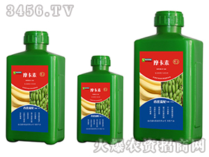 �㽶��(zhu��n)�ð���������Һ�ķ�-Ħ����-��(qi��ng)о