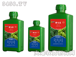 �~�ˌ�(zhu��n)�ð���������Һ�ķ�-Ħ����-��(qi��ng)о