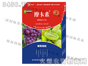 ���ь�(zhu��n)�ð���������Һ�ķ�-Ħ����