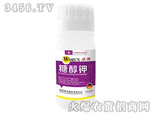 �Ǵ��-�֝�-̩����H